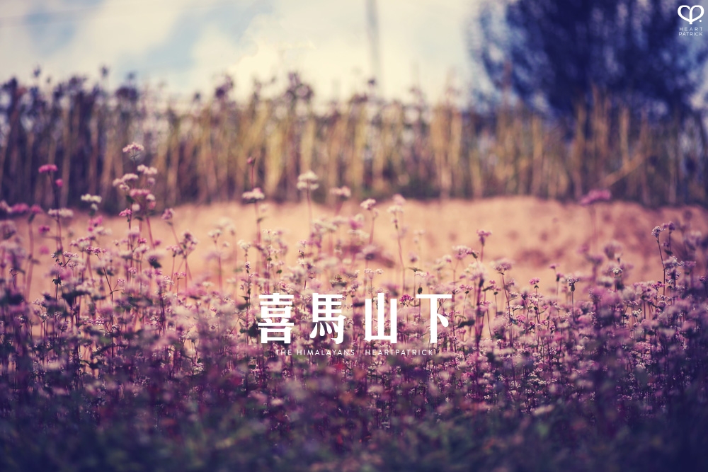 kathmandu nepal before earthquake