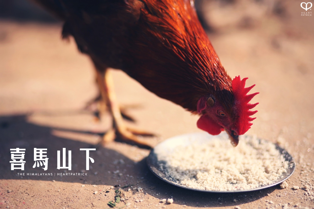 kathmandu nepal before earthquake