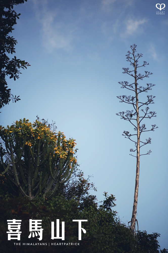 kathmandu nepal before earthquake