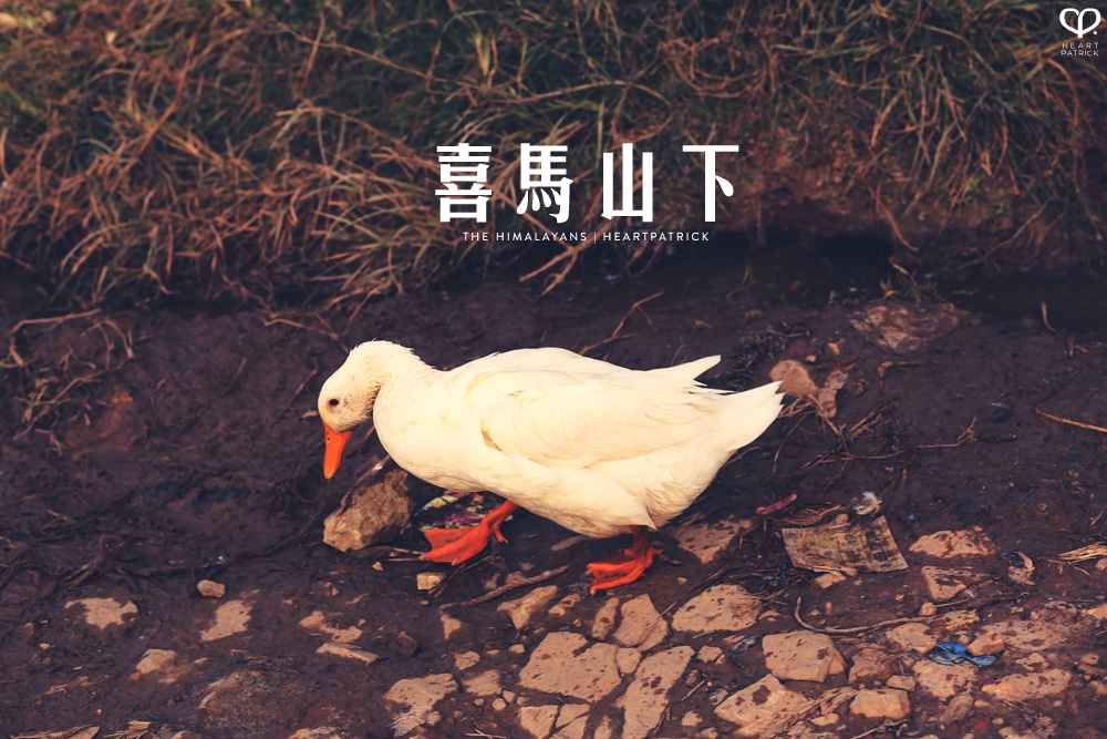 kathmandu nepal before earthquake