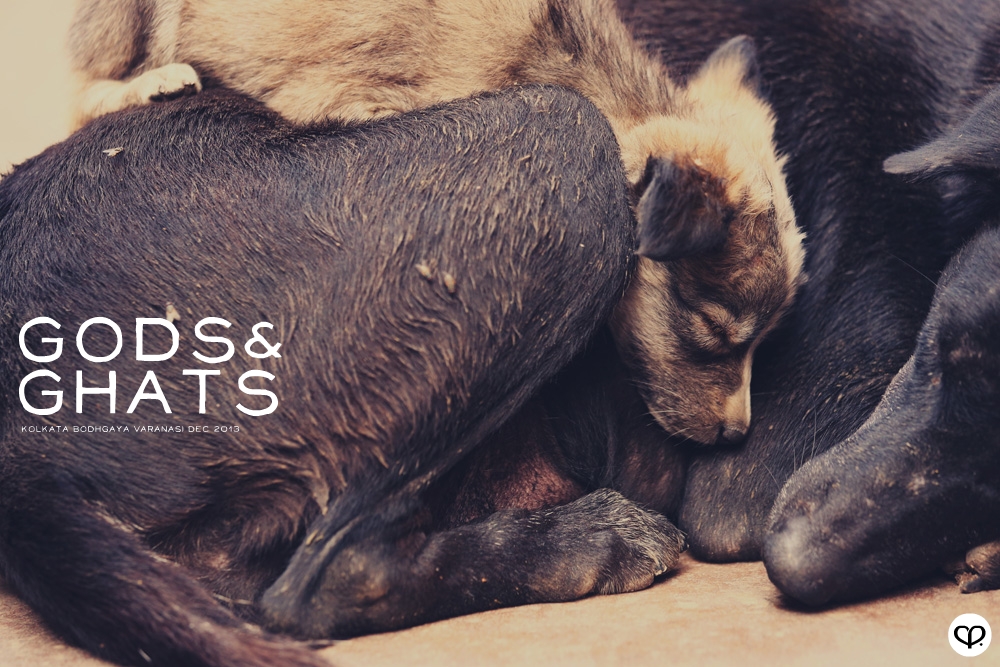 india kolkata varanasi bodhgaya