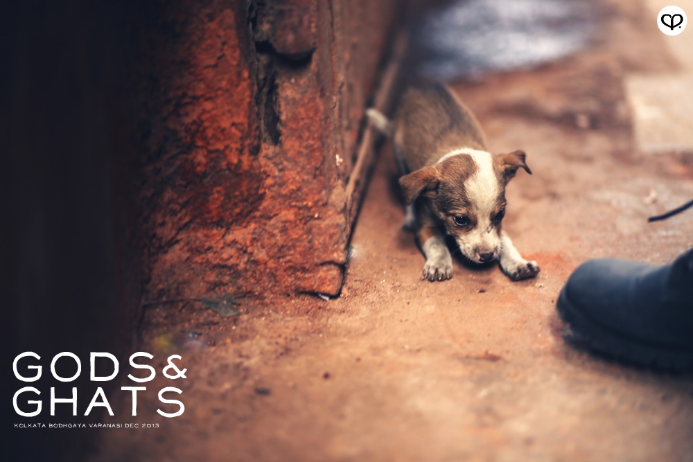 india kolkata varanasi bodhgaya