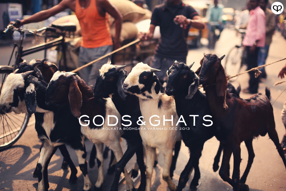 india kolkata varanasi bodhgaya