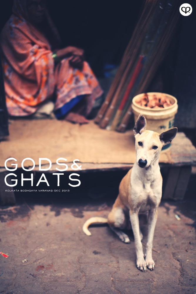 india kolkata varanasi bodhgaya