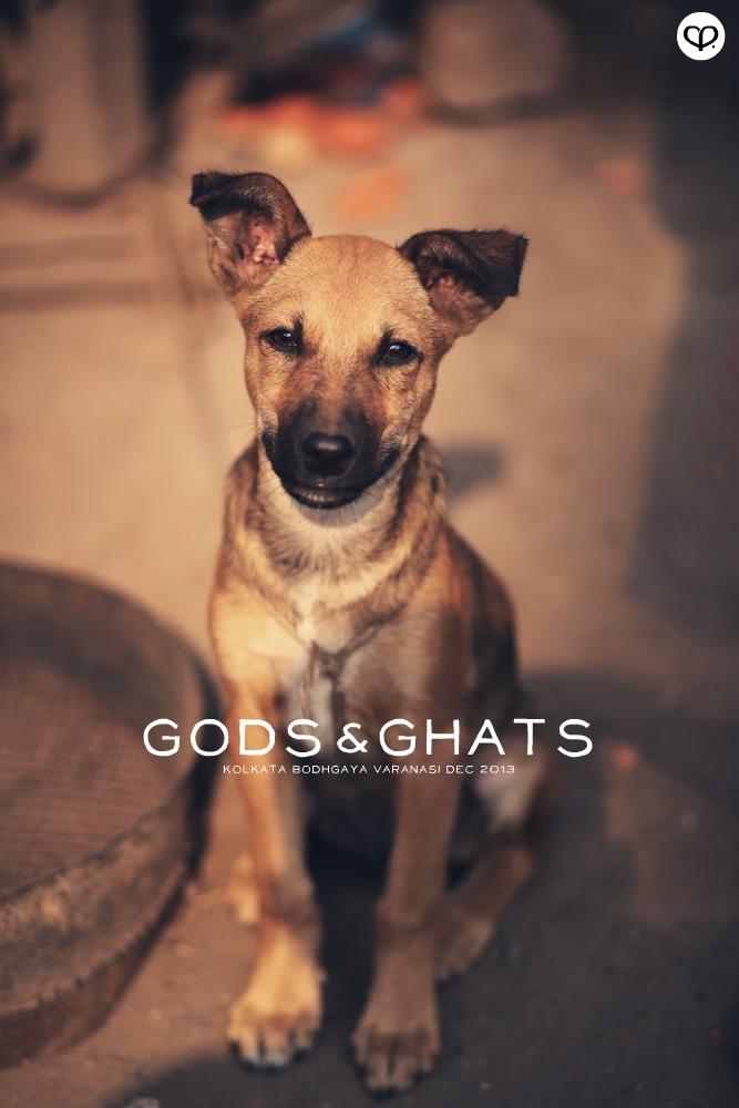 india kolkata varanasi bodhgaya