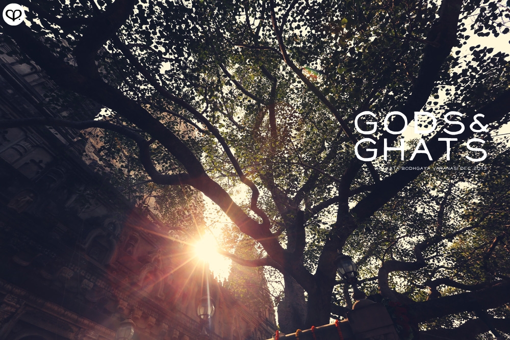 india kolkata varanasi bodhgaya