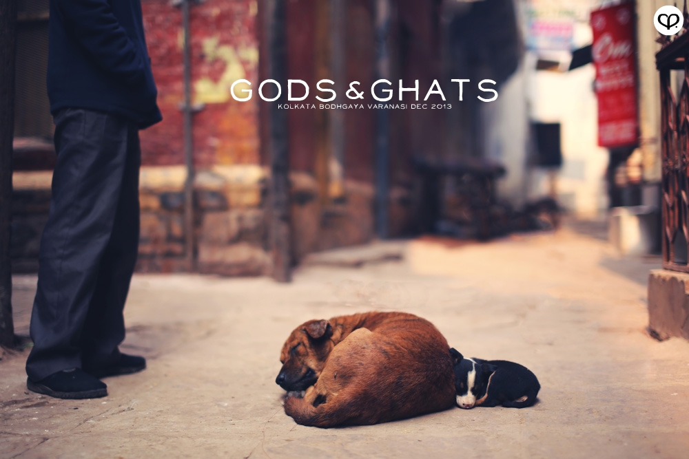 india kolkata varanasi bodhgaya