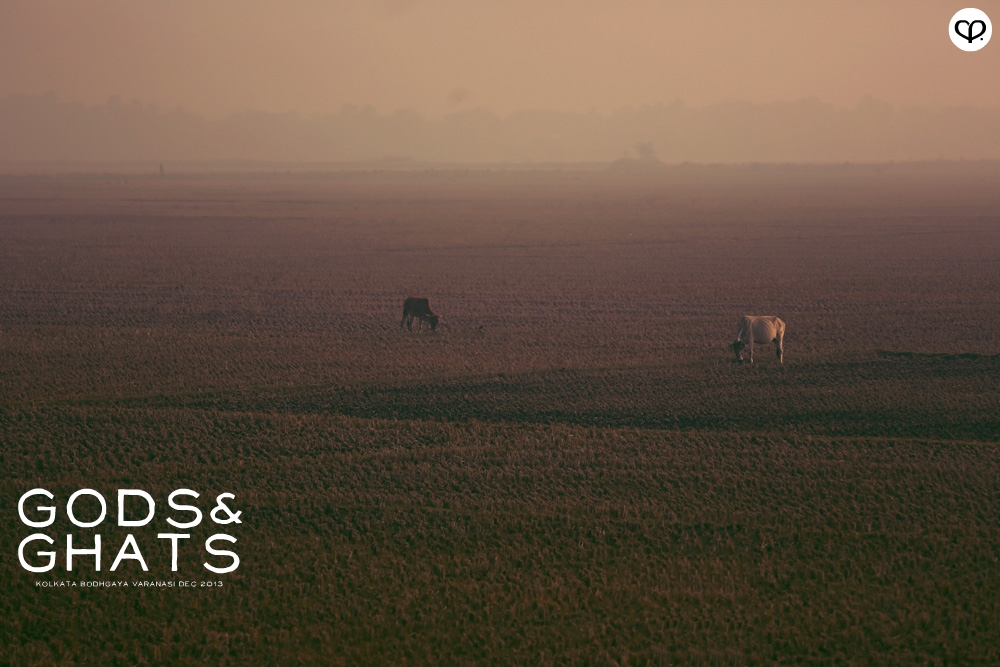 india kolkata varanasi bodhgaya