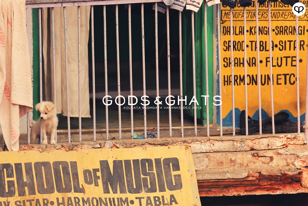 india kolkata varanasi bodhgaya