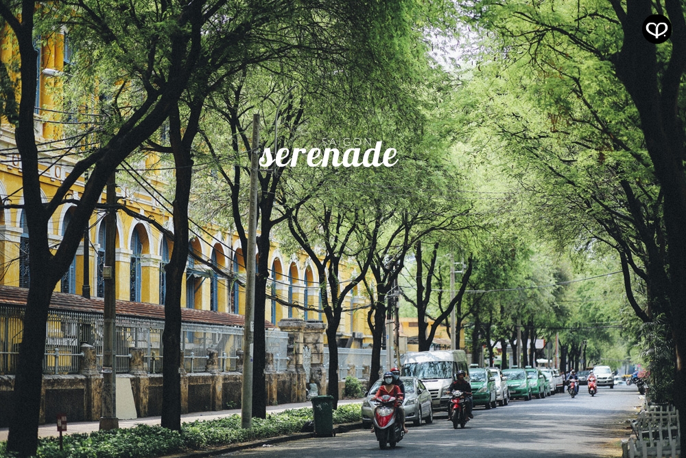 ho chi minh saigon vietnam cafe culture cafehopping