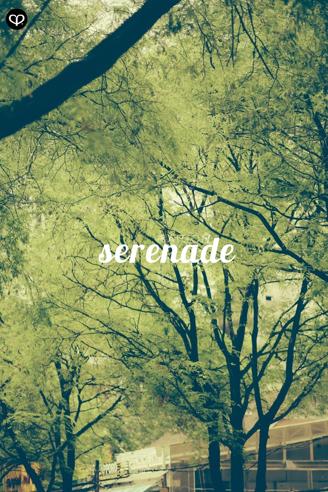 ho chi minh saigon vietnam cafe culture cafehopping