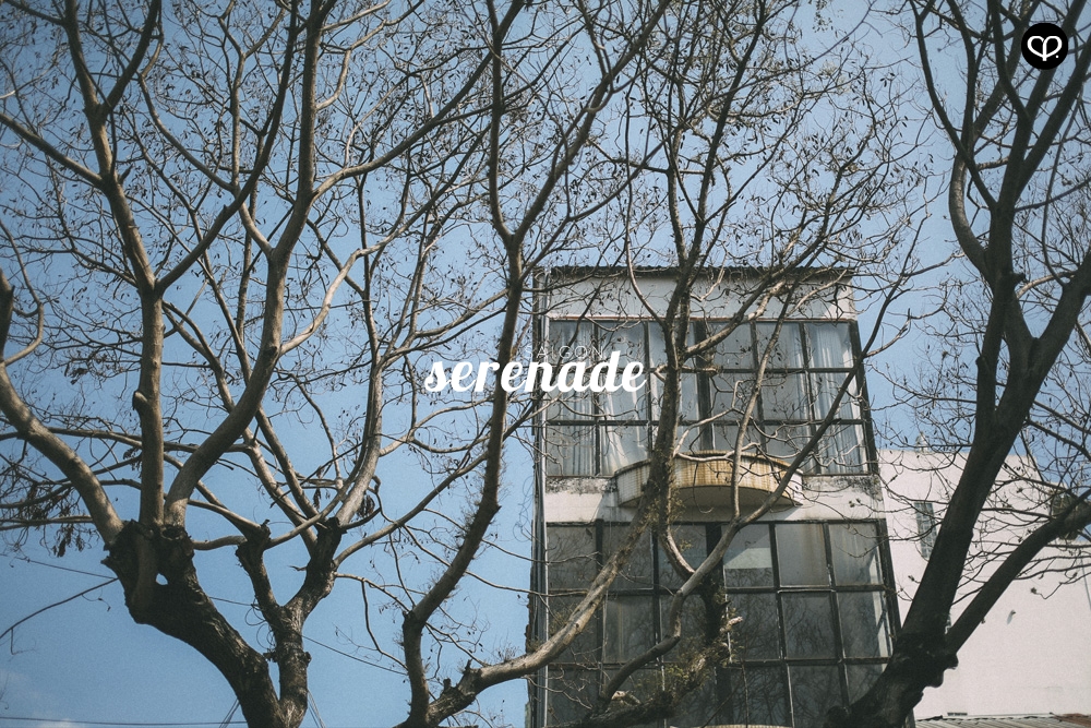 ho chi minh saigon vietnam cafe culture cafehopping