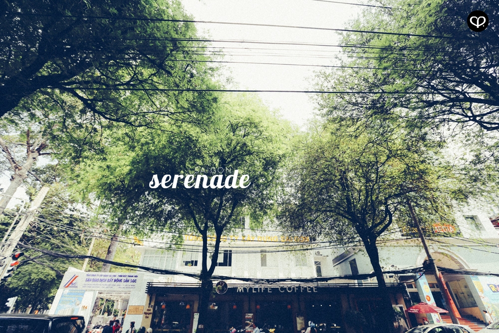 ho chi minh saigon vietnam cafe culture cafehopping