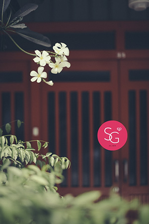 singapore travel photojournalism travel photography