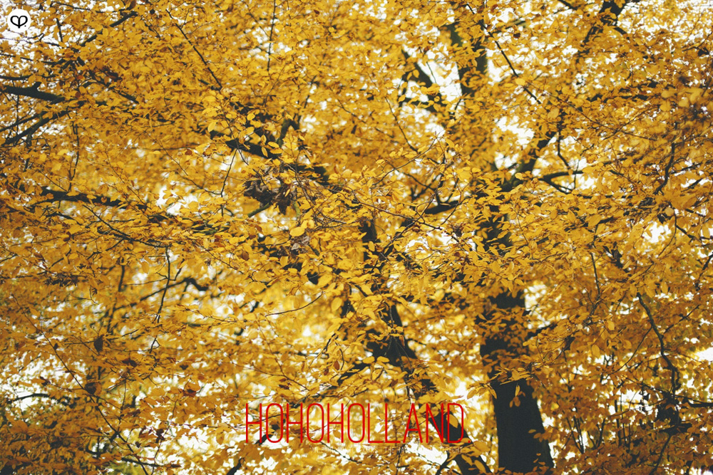 holland netherlands christmas atmopshere