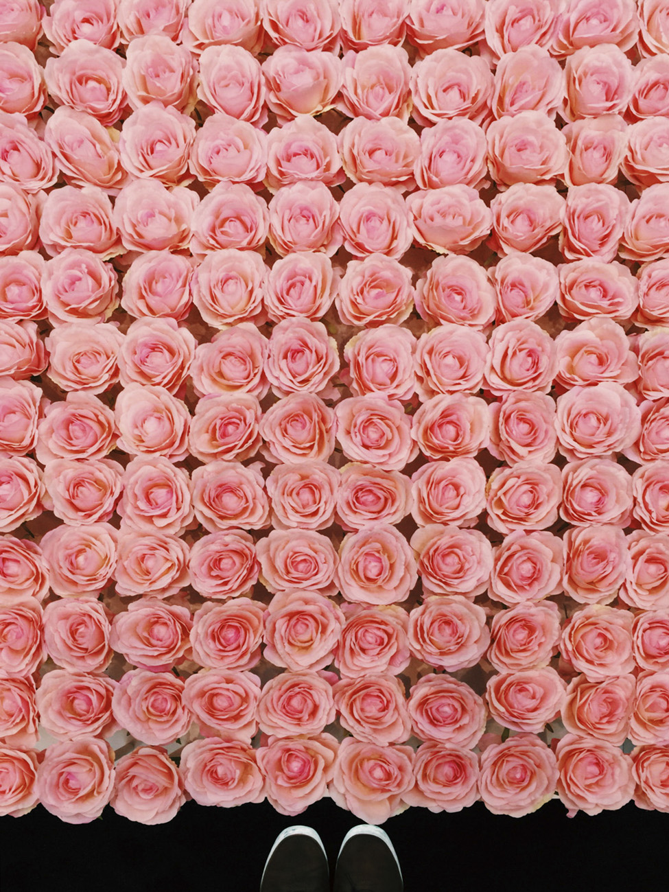 turkey hamad international airport doha