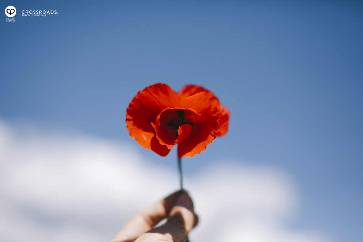 travel turkey minimalist