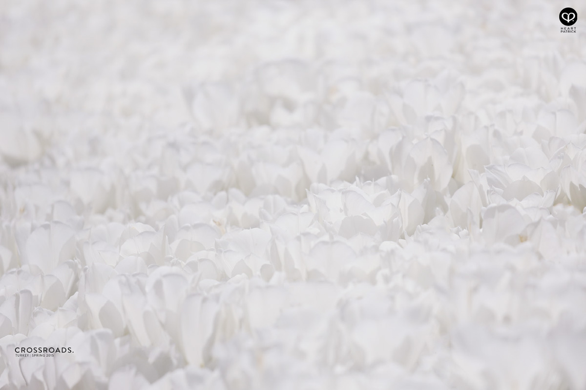 travel turkey minimalist