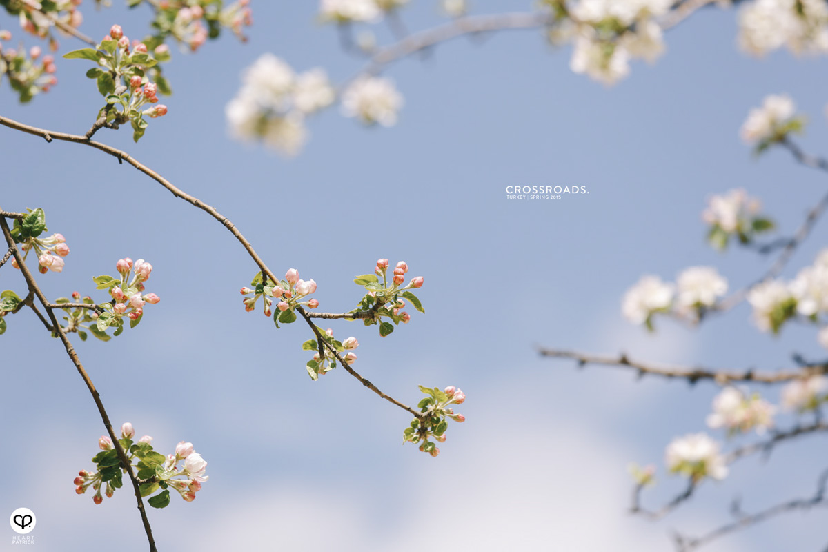 travel turkey minimalist