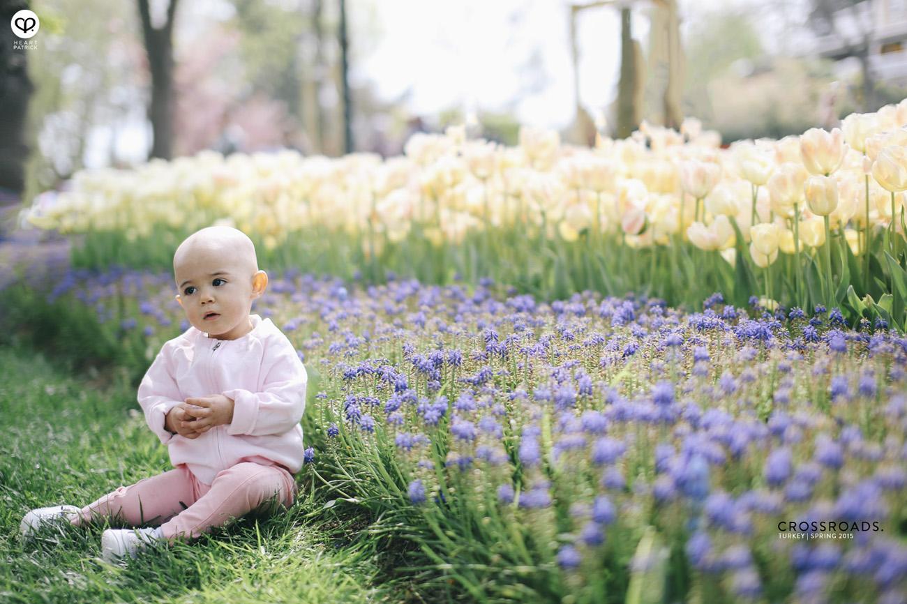 travel turkey istanbul emirgan park tulips