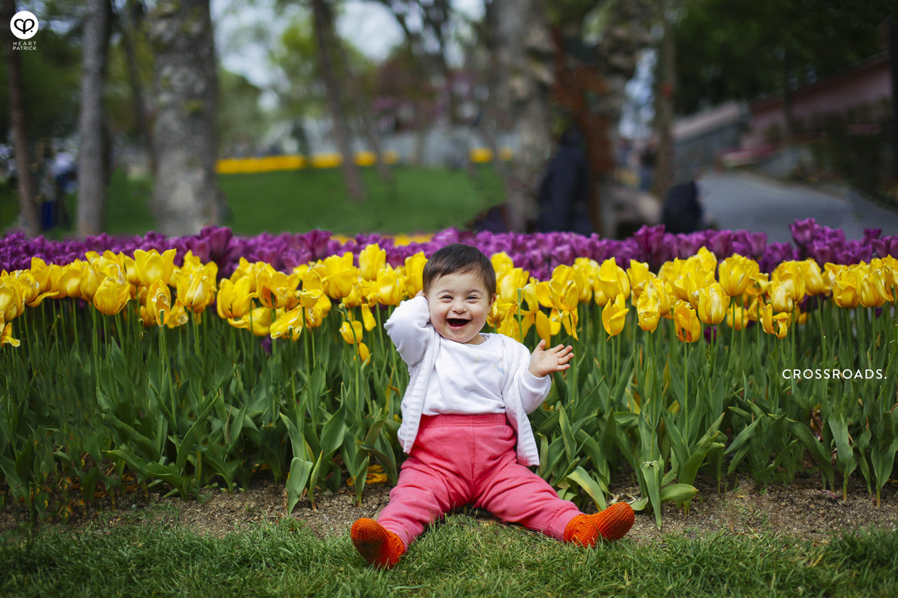 travel turkey istanbul tulips full bloom emirgan park