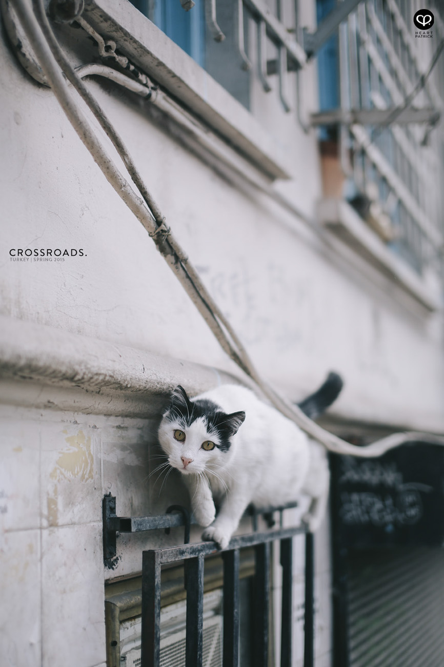 travel turkey istanbul cihangir beyoglu