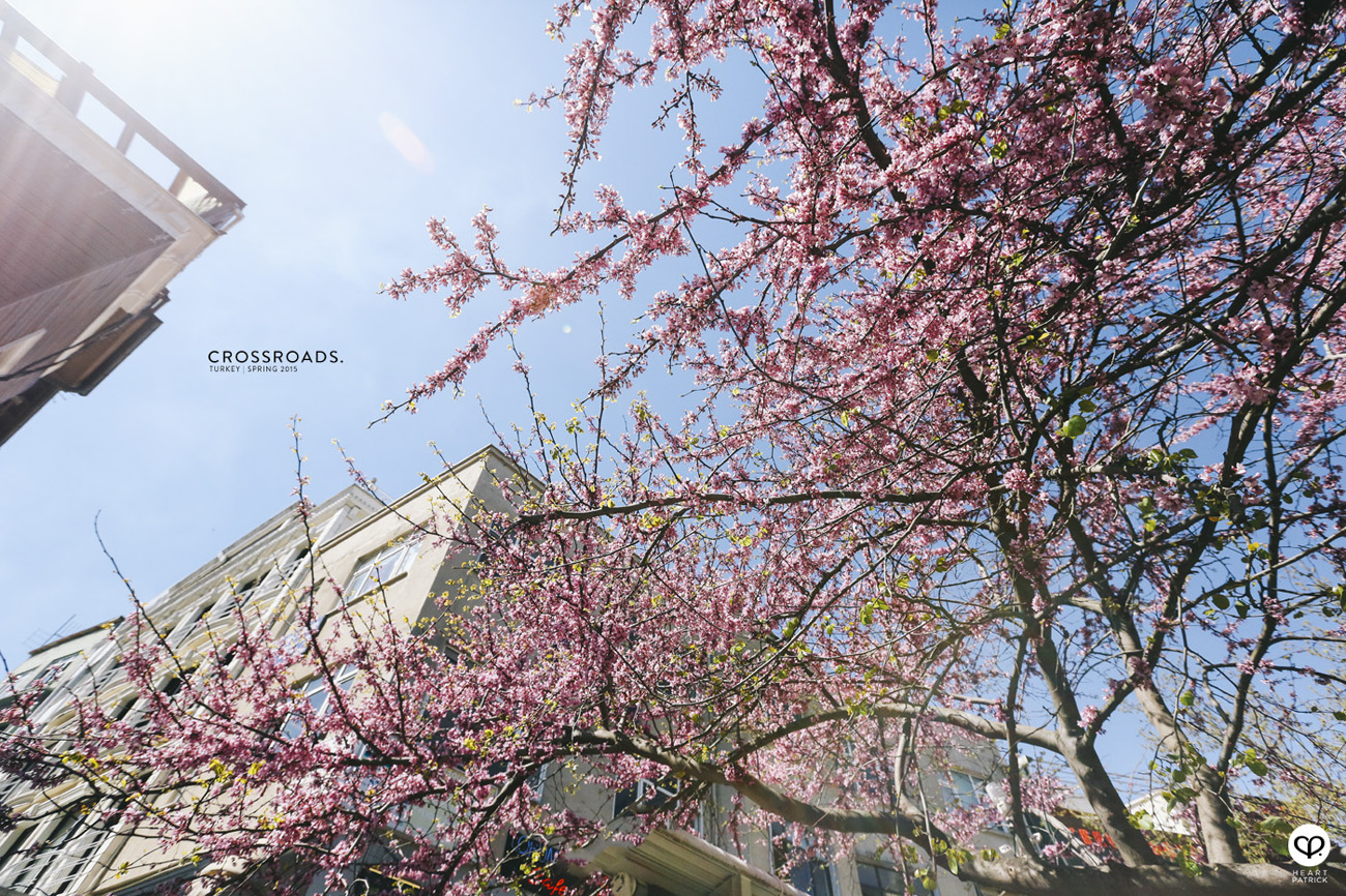 travel turkey istanbul