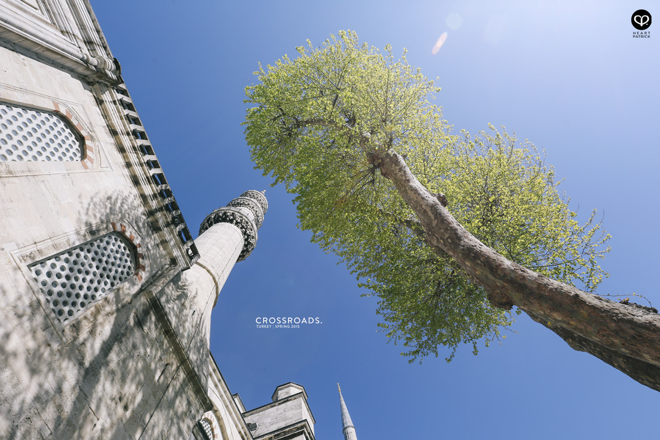 travel turkey istanbul blue mosque sultanahmet