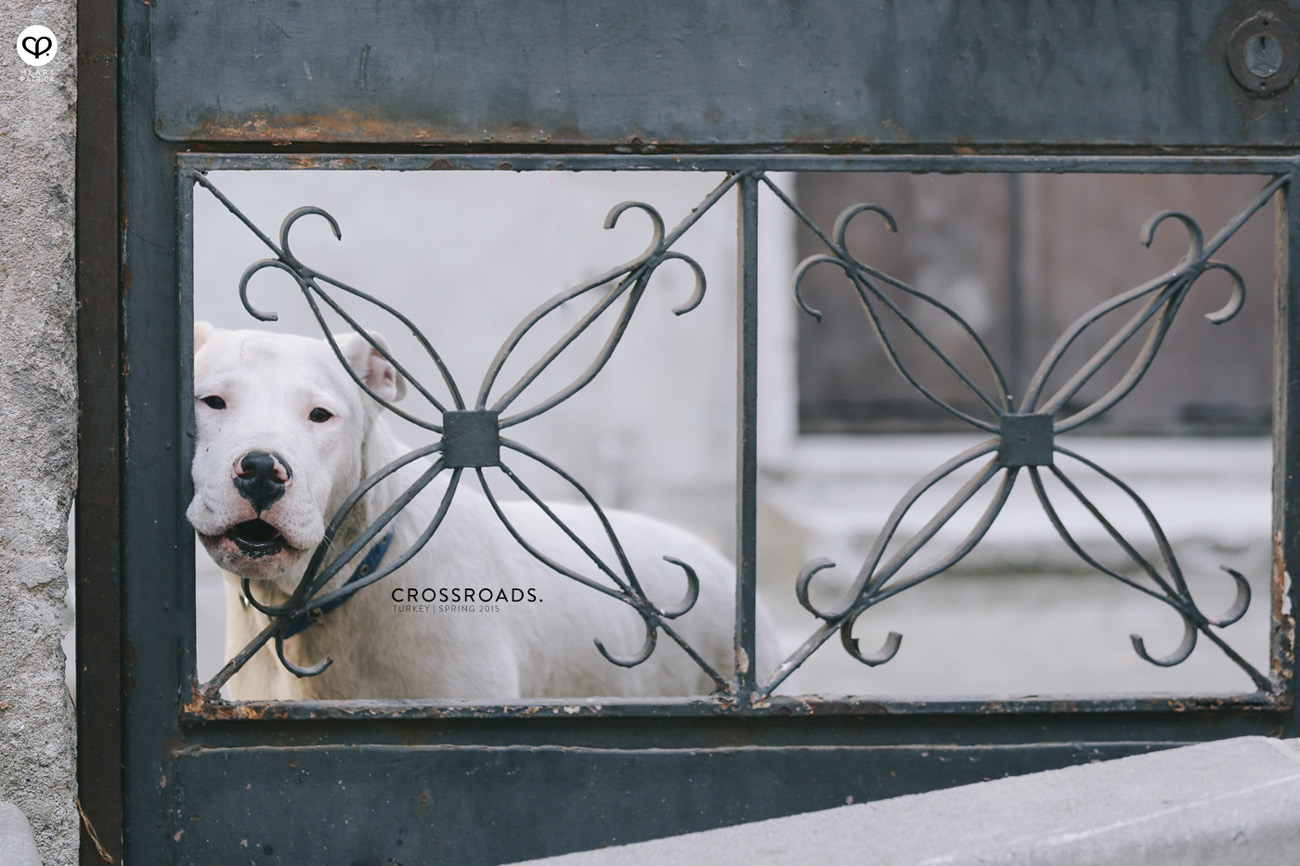 travel turkey istanbul ayvansaray balat fener
