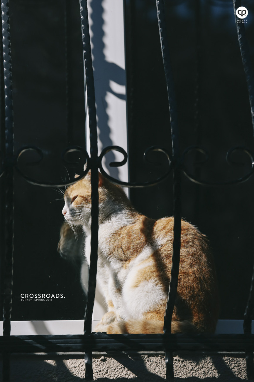 travel turkey istanbul beyoglu