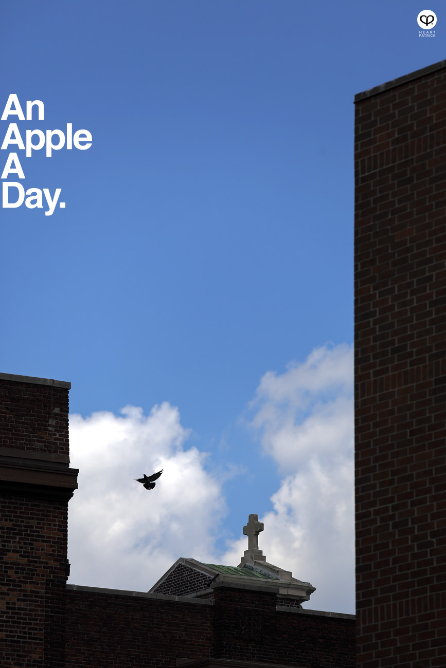 new york travel manhattan brooklyn street photography