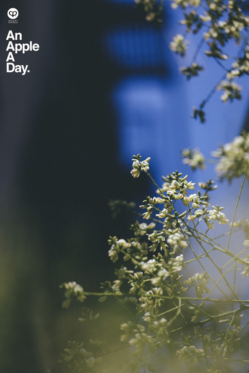 new york travel manhattan brooklyn street photography