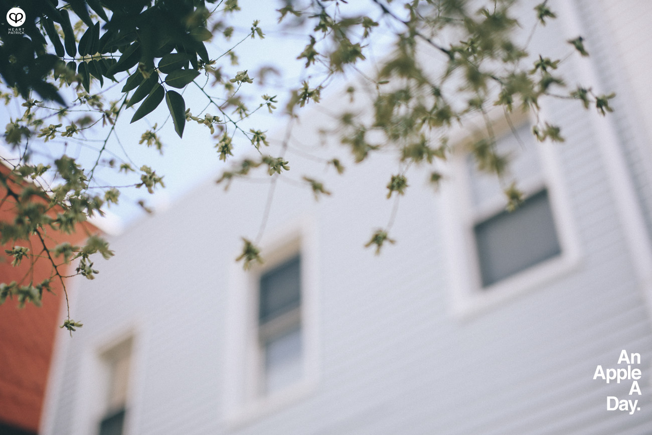 new york travel manhattan brooklyn street photography