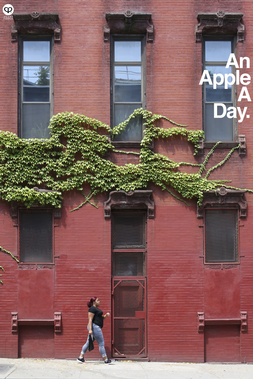 tinypeopleinbigplaces new york travel street photography brooklyn