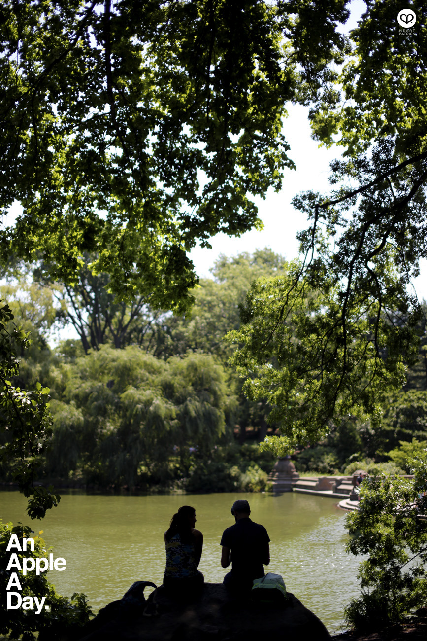tinypeopleinbigplaces new york travel street photography central park