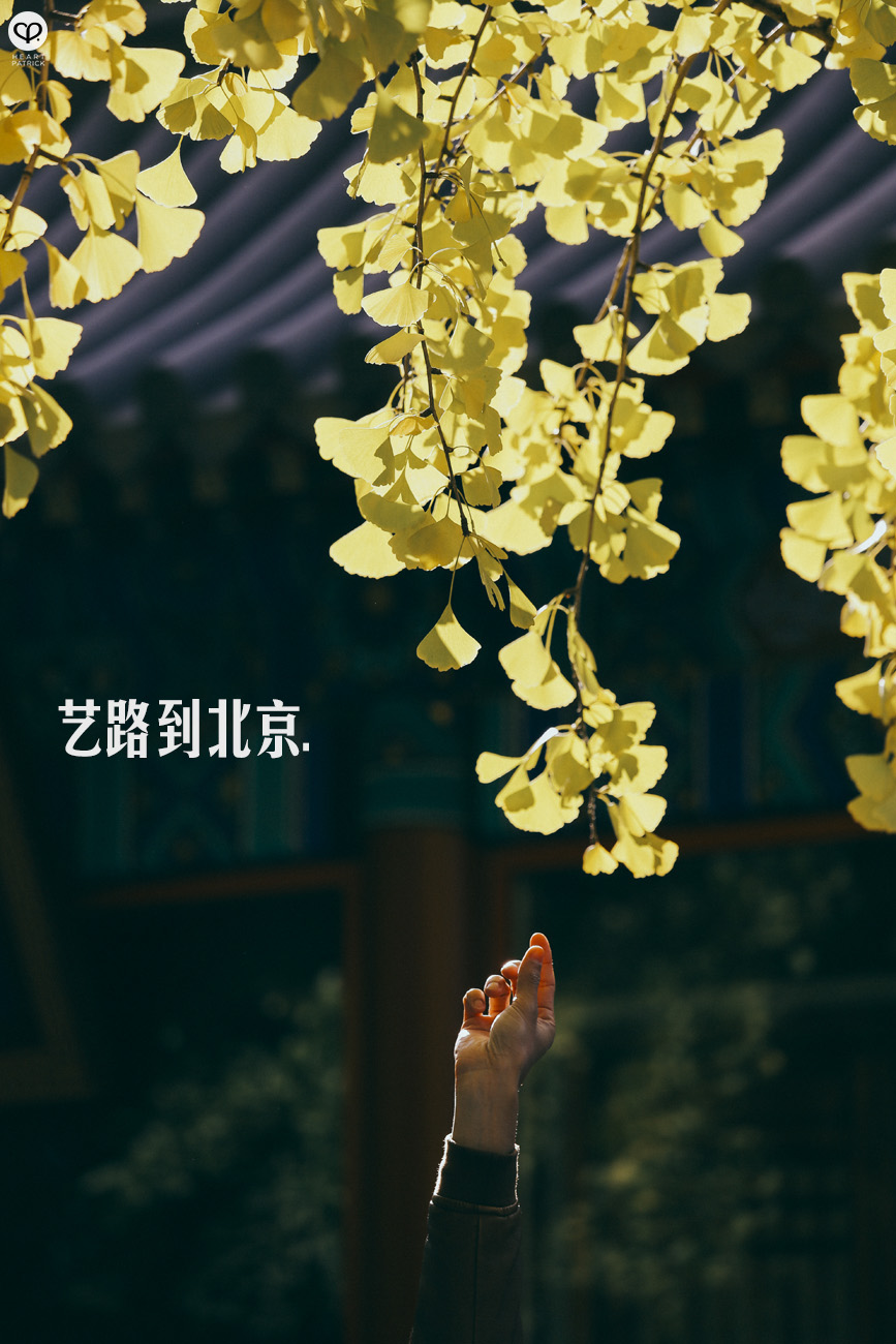 beijing china street photography photojournalism arts hutong