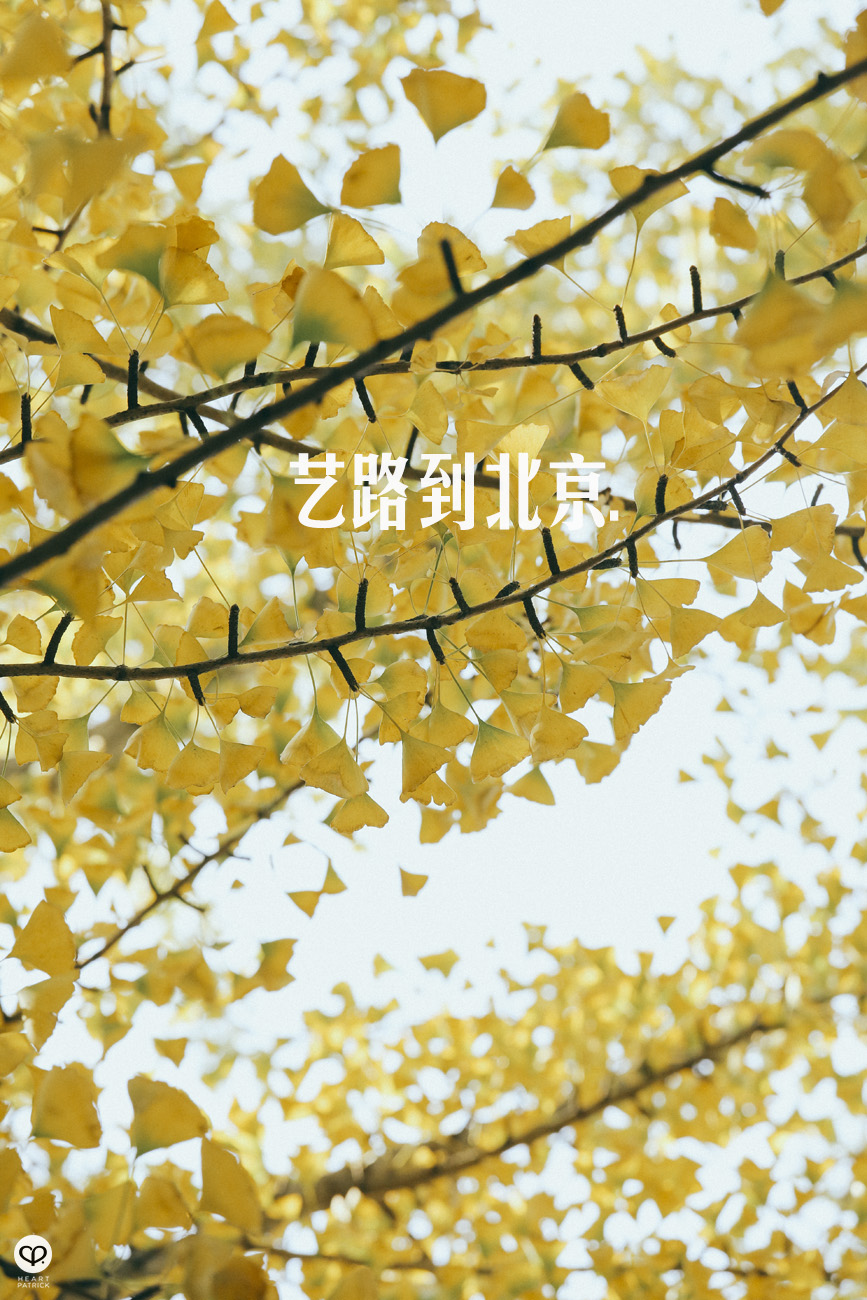 beijing china street photography photojournalism arts hutong