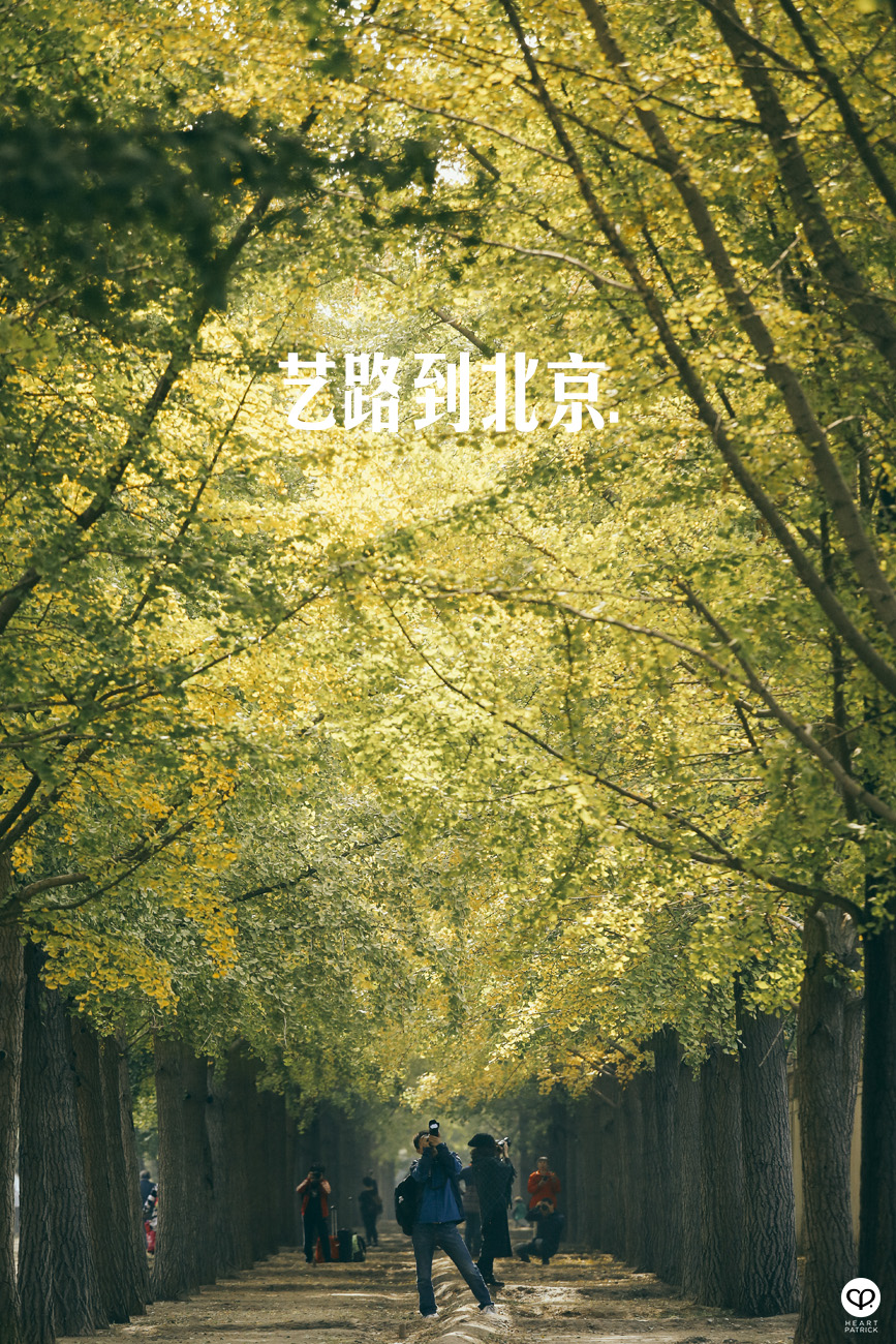 beijing china street photography photojournalism arts hutong