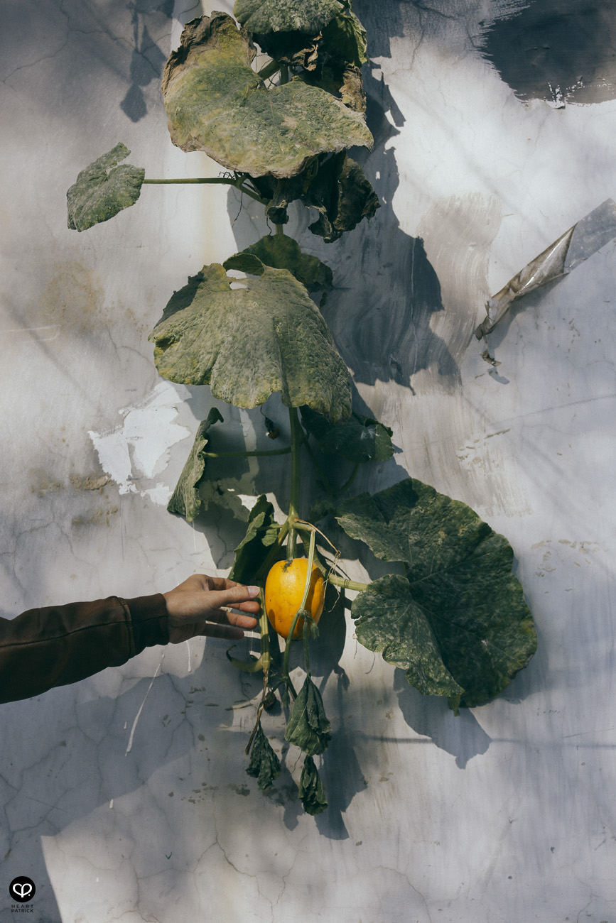 beijing china street photography photojournalism arts hutong