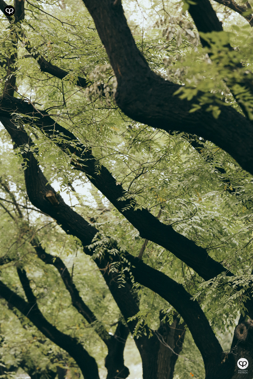 beijing china street photography photojournalism arts hutong