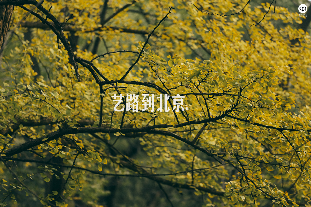 beijing china street photography photojournalism arts hutong