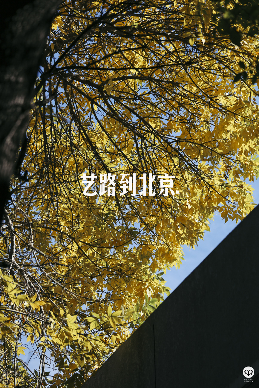 beijing china street photography photojournalism arts hutong