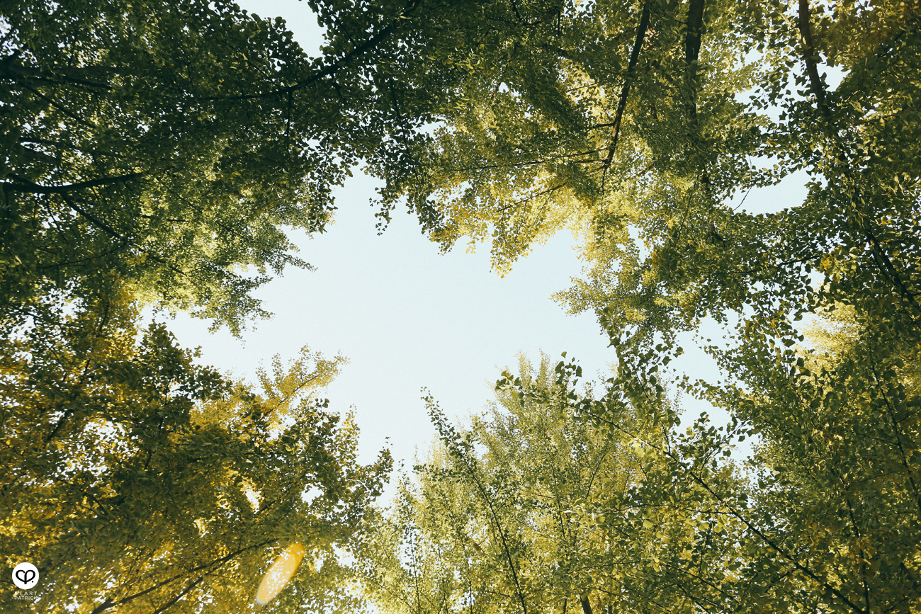 beijing china street photography photojournalism arts hutong