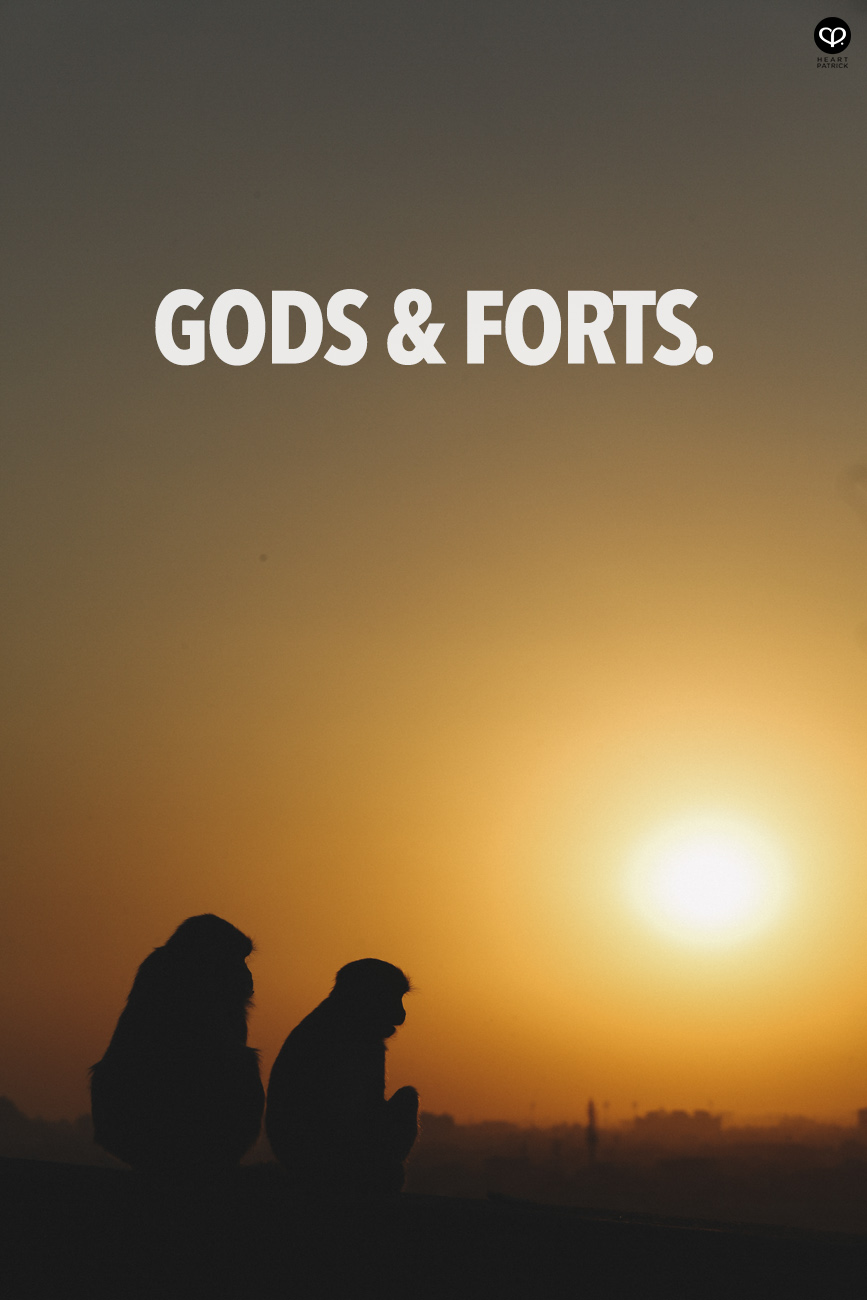 india rajasthan travel photojournalism street photography jaipur jodhpur udaipur jaisalmer