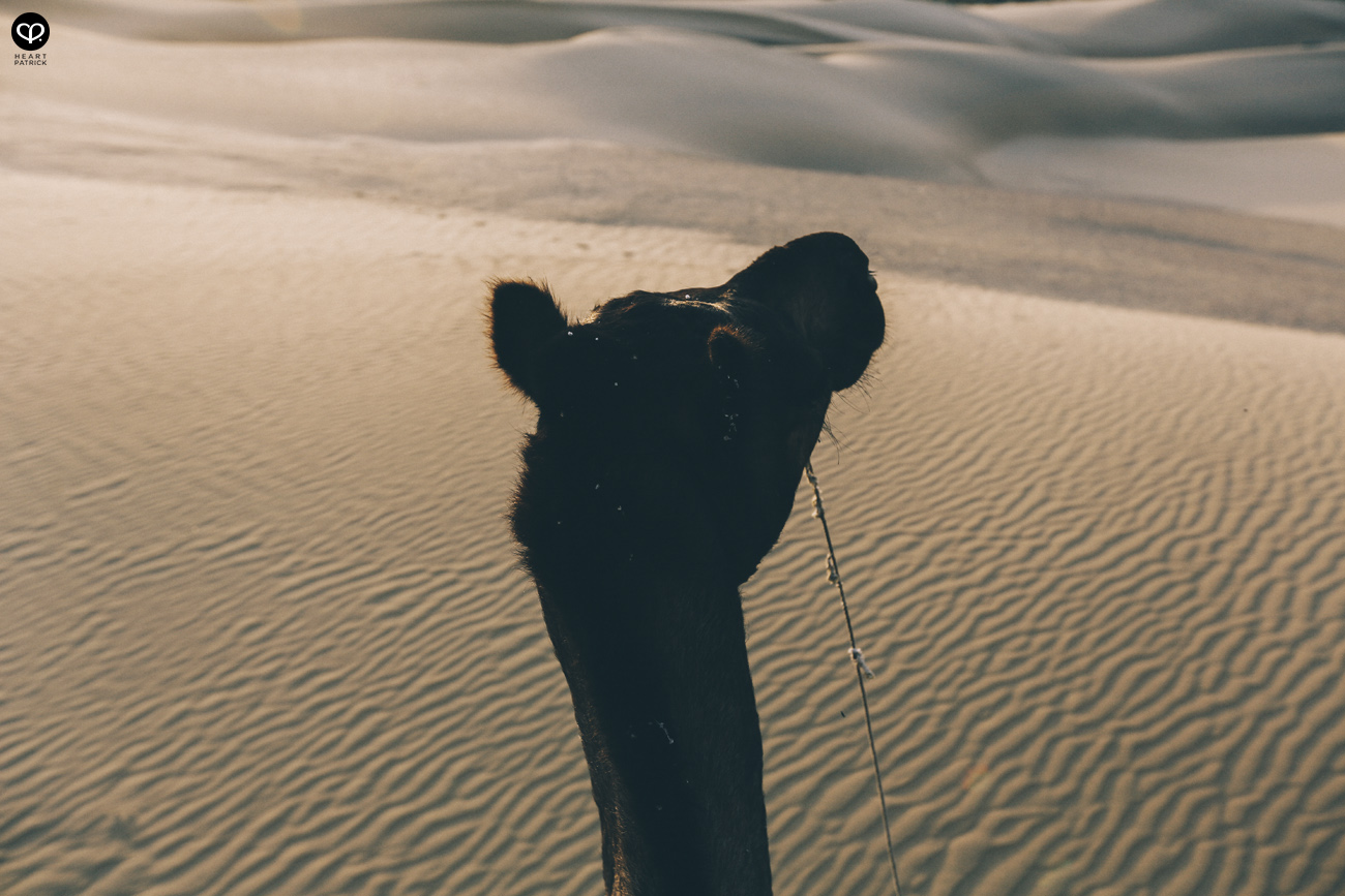 india rajasthan travel photojournalism street photography jaipur jodhpur udaipur jaisalmer