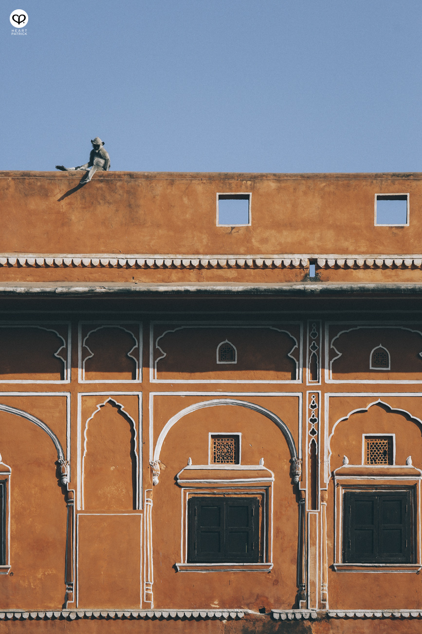 india rajasthan travel photojournalism street photography jaipur jodhpur udaipur jaisalmer