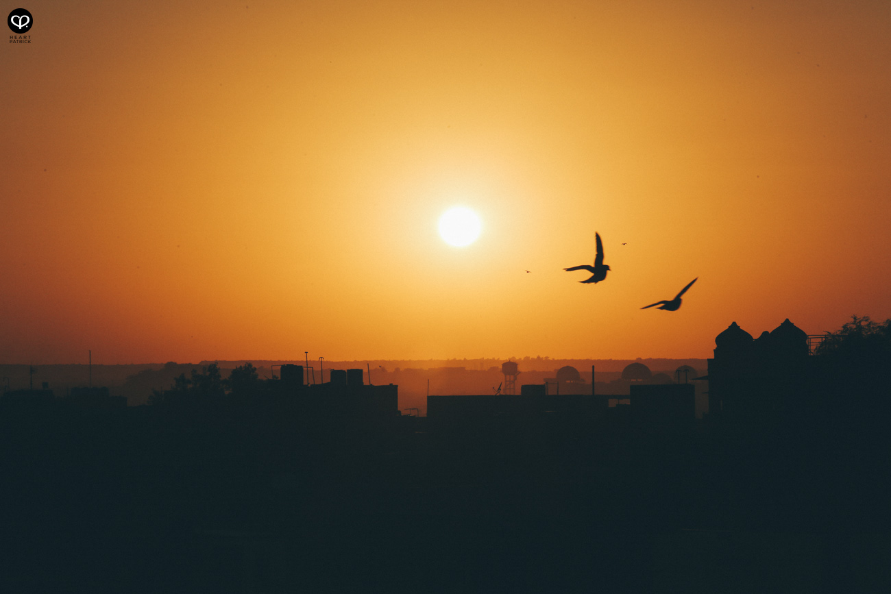 india rajasthan travel photojournalism street photography jaipur jodhpur udaipur jaisalmer