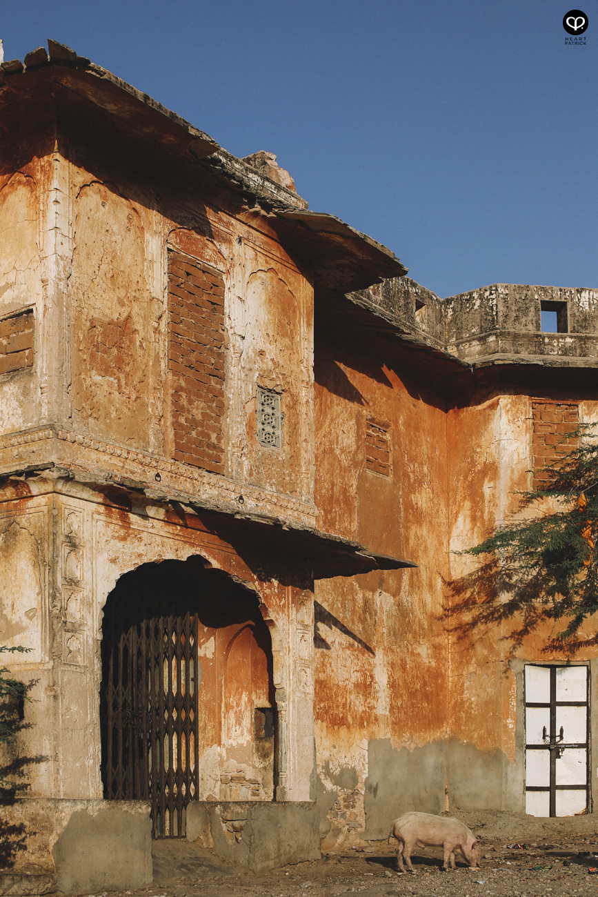 india rajasthan travel photojournalism street photography jaipur jodhpur udaipur jaisalmer