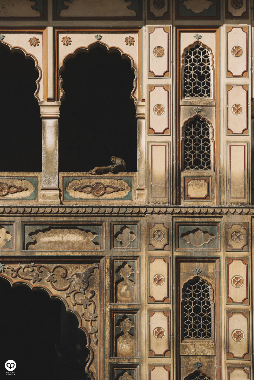 india rajasthan travel photojournalism street photography jaipur jodhpur udaipur jaisalmer