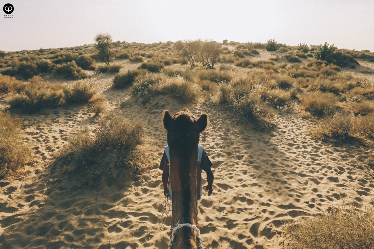 india rajasthan travel photojournalism street photography jaipur jodhpur udaipur jaisalmer
